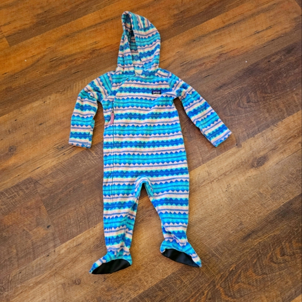 Patagonia Bunting